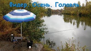 Фидер на реке Самара. Осень. Дождь. Голавль.