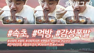 65.오글대는 속초 맛집 대탐험 (ft.행복론) | 대회사원