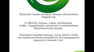 Краткая презентация  компании "НОВАЯ ЭРА" (Китай)