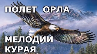 Полет орла. Мелодии курая. Башкирские народные музыкальные инструменты.