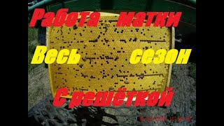 НЕТ Пчеловодства без Ганемановской решётки.Технология,метод применения разделительных решёток.