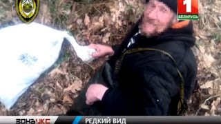 Браконьер-рекордсмен. Зона Х