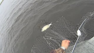 ШОК, а не РЫБАЛКА. Ловля рыбы сетями. Fishing nets.