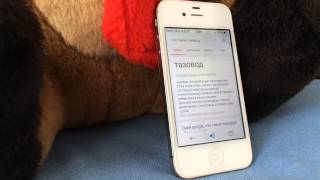 Окей Гугл. Что такое тазовод?