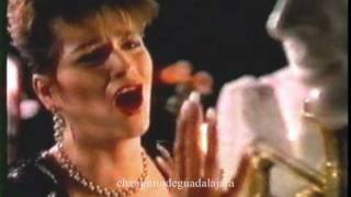 Rocío Banquells -Pudo ser Amor- (video)