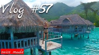 Wenn Träume wahr werden | Vlog #57  Moorea | Südsee