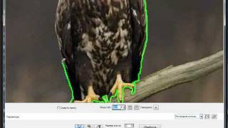Уроки PaintShop: извлечение объектов