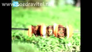 Отличное музыкальное видео приглашение на шашлык