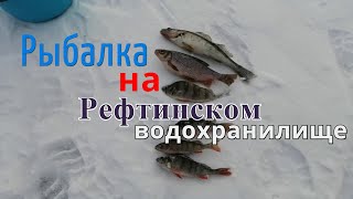 Рыбалка на Рефтинском водохранилище , Судак Окунь,Чебак 2019-2020