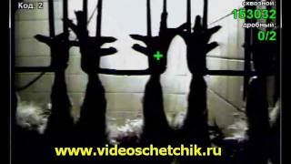 Подсчет птицы на подвесном транспортере