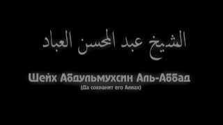 Шейх Аль-Аббад: Убивать террористов в странах мусульман.