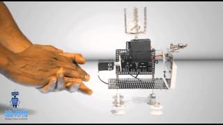 Dice Bot - Iwiz Android Robo