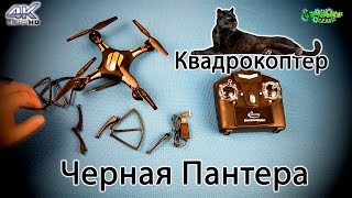 Квадрокоптер Черная Пантера обзор (4K)