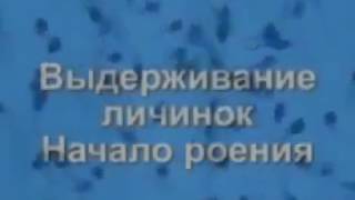 Оборудование для выращивания рыбы в Узв ПОСТРОЙКА СИСТЕМ УЗВ
