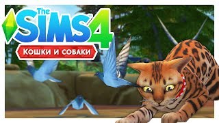 ГУЛЬ-ГУЛЬ-ГУЛЬ! ?\The Sims 4: Кошки и собаки #19