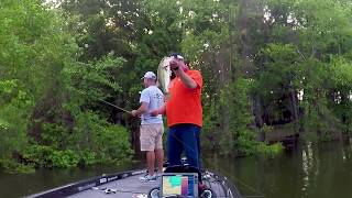 Learn to Read Cover for Better Bass Fishing