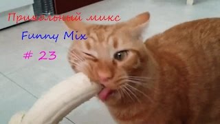 Прикольный Микс !!! Funny Mix !!! # 23
