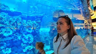 ВЛОГ ОАЭ ?? Дубай. Dubai Mall Aquarium & Underwater Zoo 27.11.2017