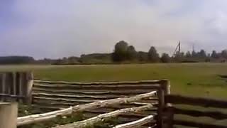 Самое ржачное видео в мире, короткие ролики Прикольные и смешные видеоролики