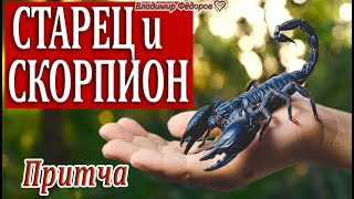 "Старец и Скорпион" Притча о Милосердии и Доброте.