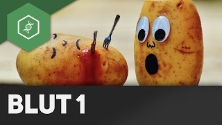 Aufbau und Funktion des Blutes - Blut Teil 1 ● Gehe auf SIMPLECLUB.DE/GO & werde #EinserSchüler