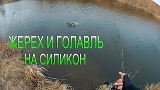 ЖЕРЕХ ГОЛАВЛЬ ОКУНЬ НА СИЛИКОН