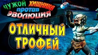 Чужой против Хищника Эволюция (AVP Evolution) - ч.5 - Отличный Трофей