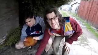 Tory assault Liberal Democrats Election 2019