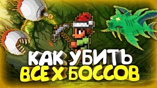 КАК УБИТЬ ВСЕХ БОССОВ В TERRARIA?!