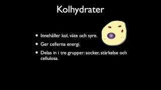 Kolhydrater 1: Socker