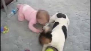 BEBEK ve KÖPEK OYNUYOR