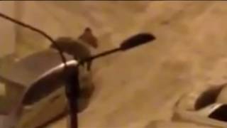 В Красноярске женщина прогнала воров, покушавшихся на машину