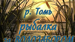 Рыбалка на р. Томь за ВоДоЗАБоРоМ