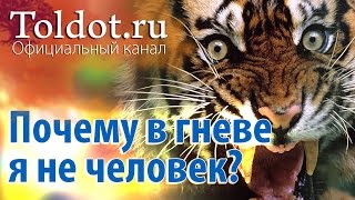 Рав Шимон Грилюс. Гнев или терпеливость. Почему в гневе я не человек?