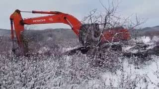 Как быстро выкорчевать пень ,сад .Наш быстрый способ корчевания пней,деревьев.