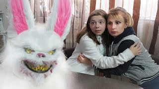 Кролик - убийца в реальной жизни. СТРАШИЛКА