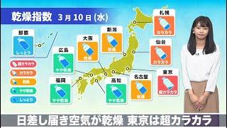 3月10日(水)日差し届き空気が乾燥　東京は超カラカラ