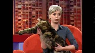 MAČAK ERIC - NAJVEĆI MAČAK U HRVATSKOJ