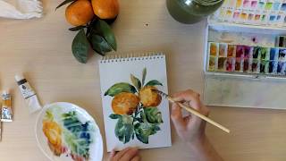 Картина акварелью Мандарины.