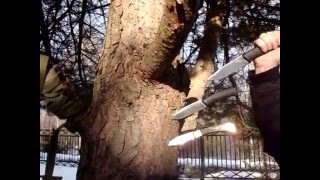 Ножи SteelWill Druid 210 и 215
