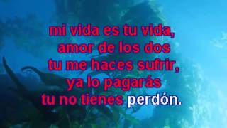 Karaoke Vicente Fernández - Amor de los dos