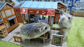 【DIY】倉鼠日式食店街 :3 Hamster Japanese Restaurant