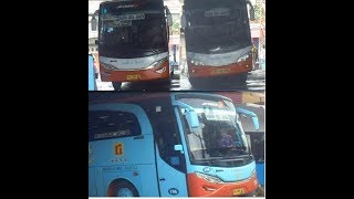 Melihat keberangkatan bis di agen Rosalia Indah Bitung