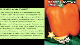 Перец звезда востока оранжевая F1