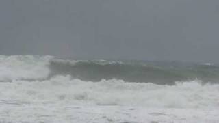 MOONLIGHT BEACH 1 21 2010