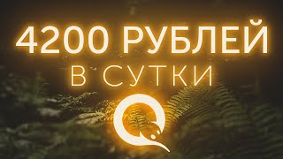 4200₽ В ДЕНЬ - ЛУЧШИЙ СПОСОБ ЗАРАБОТКА В ИНТЕРНЕТЕ