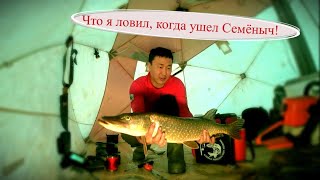 Что я ловил, когда ушел Семёныч?!