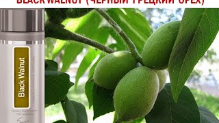 Black Walnut (Черный Орех)