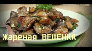 Грибы с луком и сметаной в мультиварке. Вешенки жареные - быстро и очень вкусно.