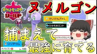 【ポケモン剣盾】ヌメルゴンさんを捕まえて新育成法で最強に育て上げる！【ゆっくり実況】